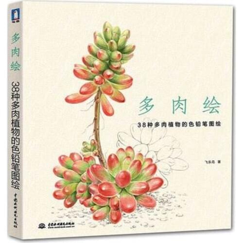 Chinese pencil drawing book 38 kinds of Succulent Plants painting color pencil drawing art book Tutorial art book