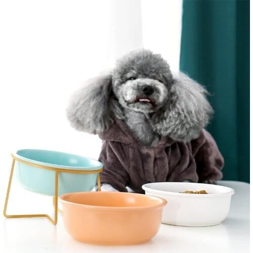 Ceramic Bowl For Pet Cats And Dogs Feeders Cat Feeder Protect Cervical Vertebra Cat Food Bowl Pet Supplies