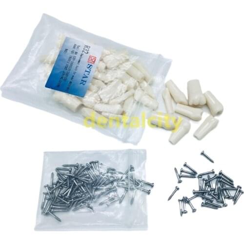 28PCS/Bag Resin Simulation Tooth Grain Dental Model For Dentist Exam Preparation Teaching 28PCS/Bag