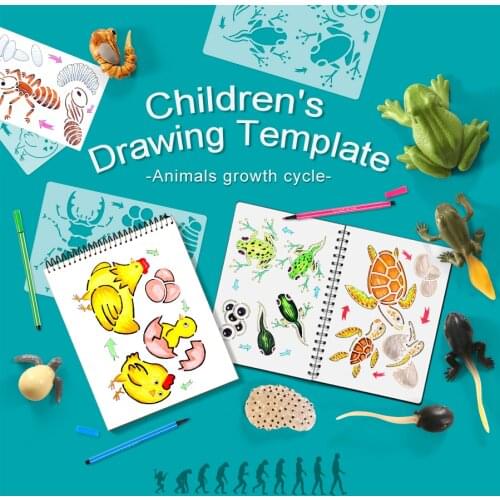 Montessori Drawing Toy Butterfly Bee Life Cycle Stencil Magic Rainbow Scratch Paper Set and Animal Growth Cycle Figurine Kid Toy