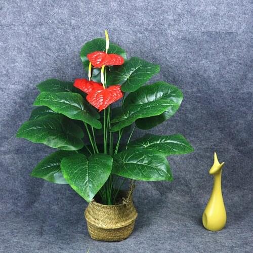 Brangdy Artificial Plants