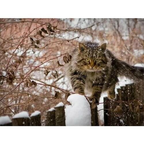 Cat Winter Animal Printed Water-Soluble Canvas 11CT Cross-Stitch Complete Kit Embroidery DMC Threads Craft work Adults