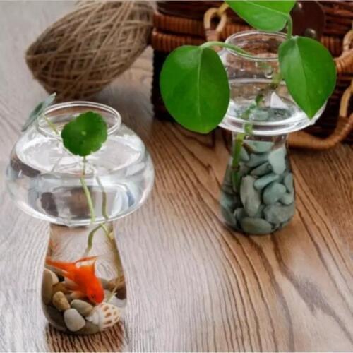 Clear Glass Vase Bottle For Plant Flower Decorations - Mushroom