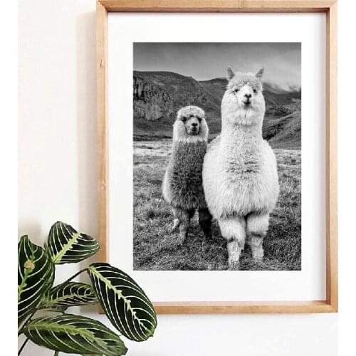 Nordic Style Canvas Modern Printed Alpaca Poster Mountain Scenery Home Decoration Painting Wall Art Pictures Living Room Modular