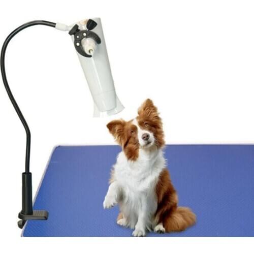 Adjustable Pet Hair Dryer Bracket Dog Cat Grooming Arm Support 70cm Pet Clothes Dryer Frame Blower Cradle Trestles CW244