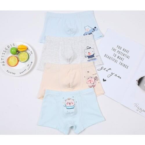 4 Pcs Soft Cotton Boys Underwear Childrens Underwear for Kids Animal Priting Shorts Underpants Teenage Panties Boxers Briefs