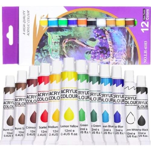 Professional Acrylic Paints Set 12 Colors 12ml Craft Paint for Fabric/Clothing/Canvas/Painting Fluorescent Paint Drawing Set