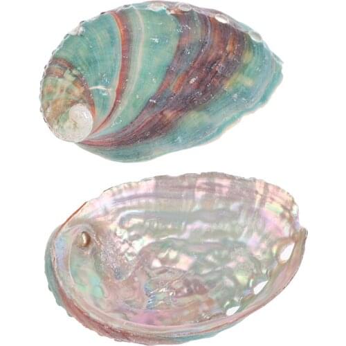 2pcs DIY handmade Abalone shell natural conch shell fish tank landscape painting room decoration photography props 6-7cm