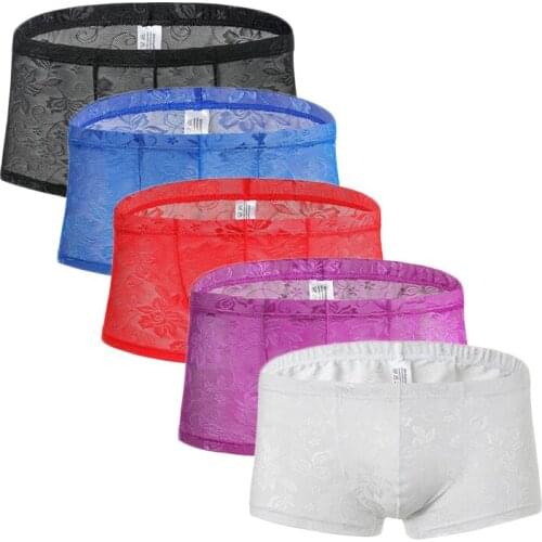 5PS Sexy Mens Boxers Shorts Mesh Man Sex Underwear Lingerie Trunk Transparent Mesh See Through Floral Lace Underpants Dropship
