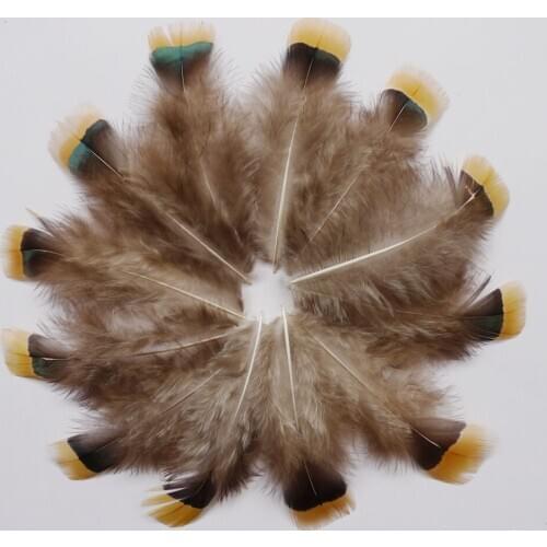 10/20/100 pcs 4-9cm Beautiful Natural pheasant Chicken Feathers for DIY clothing Crafts plumes Jewelry Accessories Decoration
