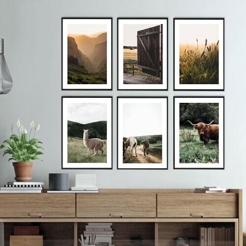 Natural Scenery Animal Posters Alpaca Cow Wild Horses Prints Canvas Painting Sunset Wall Art Pictures For Bedroom Nordic Decor