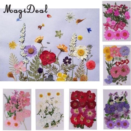 Variety Kinds of Beautiful Real Pressed Flower Leaves Dried Flowers for Art Craft Scrapbooking Resin Jewelry Bookmark Phone Case
