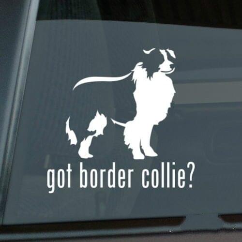 Got Border Collie Sticker Die Cut Vinyl - sheep dog window decal Size(inch): 6.00 x 5.90