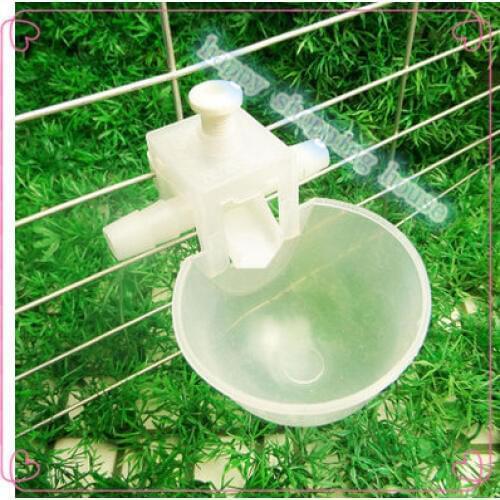 A05 Pet birds pigeon supplies pigeon cage with paired autodrinker pigeon with a cup bowl of water dispenser