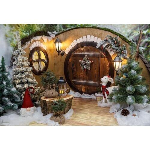 Wonderland photo-shots background vinyl Cartoon Xmas house photography backdrops for photo studio accessories photophone LV-2338