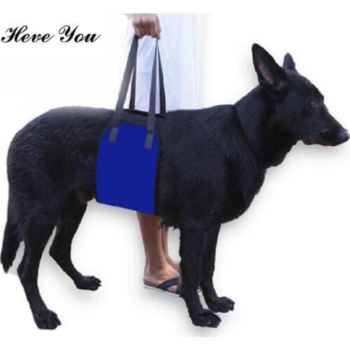 Heve You Harnesses