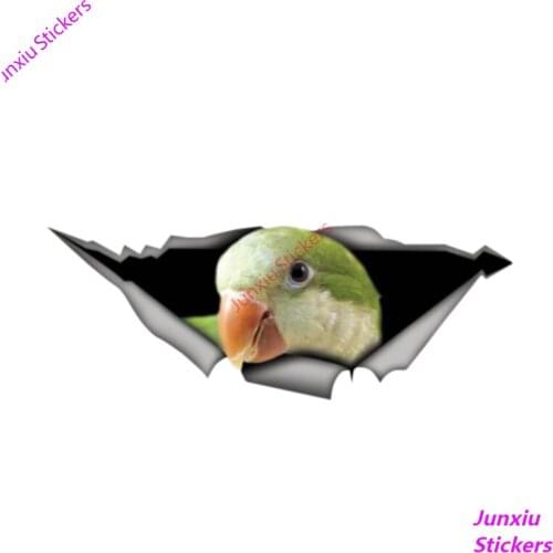 Funny Parakeet Decal 3D Pet Car Sticker Car Accessories Vinyl Decal Cover Scratches Waterproof PVC 13cm X 5cm