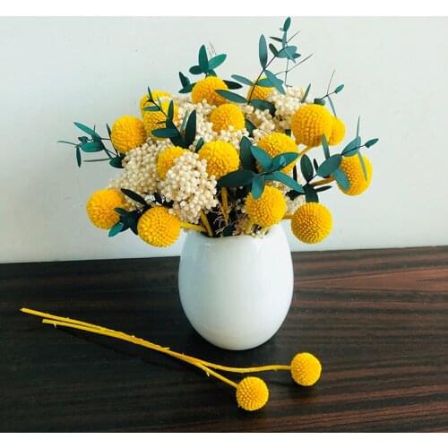 1 Bunch Natural Dried Flower Eucalyptus Bouquet Home Wedding Party Decor Festival Ceremony Ramos De Novia Flores Deshidratada