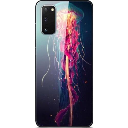 For Samsung Galaxy S20 Phone Case Tempered Glass Case Back Cover Series 1