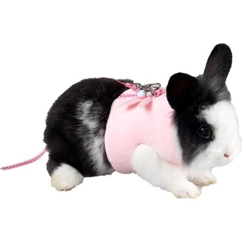 Mink Hedgehog Clothes Chinchilla Spring Summer Clothes Little Pet Chest Straps Guinea Pigs Out Towing Rope