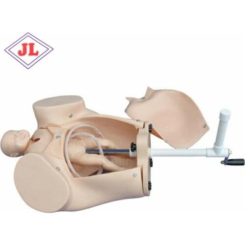 Medical Science Subject Simulator Medical Teaching Series Child Birth & Fetus Model