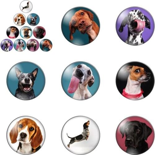 Funny Dog Cute Animal Mankinds Friends Round Photo Glass Cabochon Demo Flat Back Making Findings Handmade DIY Accessories