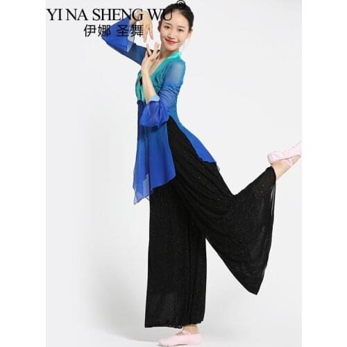 Chinese Ancient Style Classical Dance Long Sleeve Tops Practice Female Dance Clothes Rhyme Elegant Yarn Performance Clothing