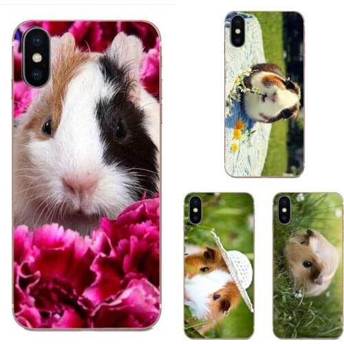 White Guinea Pig Animal Print For LG G7 ThinQ G5 G6 K50 Q60 K40 K8 Q7 2018 2017 V40 V30 V20 V10 Phone Case Silicone