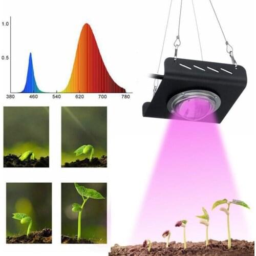 Phytolamp Full Spectrum Plant Lighting 50W Plant Growth Light for Indoor Greenhouse Hydroponic Plants GrowingFree Shipping