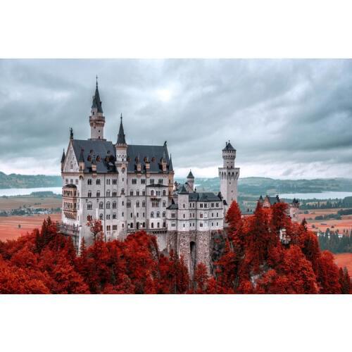 1000 Pieces New Swan Castle The wooden puzzle ersion wood jigsaw puzzle white card adult childrens educational toys