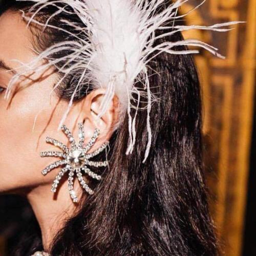 Exaggerate earring jewelry in S925 needles for women girls luxury earrings for party and wedding