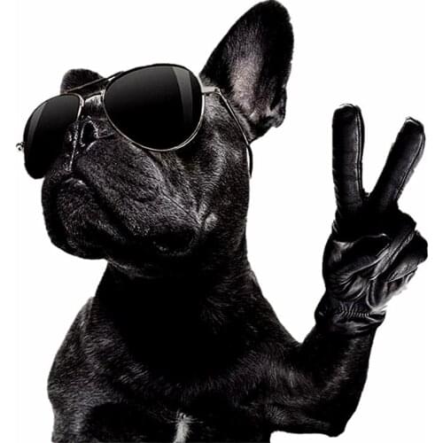 Clothing Patches Cool Dog Pattern Iron On Patches Thermal Transfer Printing DIY Stickers for Clothes Retro Style Decoration