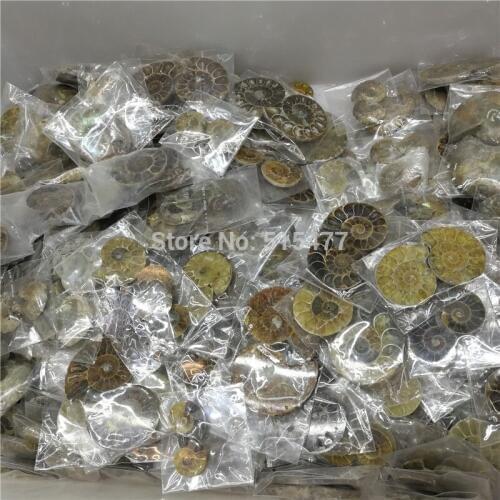 1KG (2.2LB) wholesale Natural Rainbow Split Ammonite Fossil Cut in Half from Madagascar healing Free Shipping