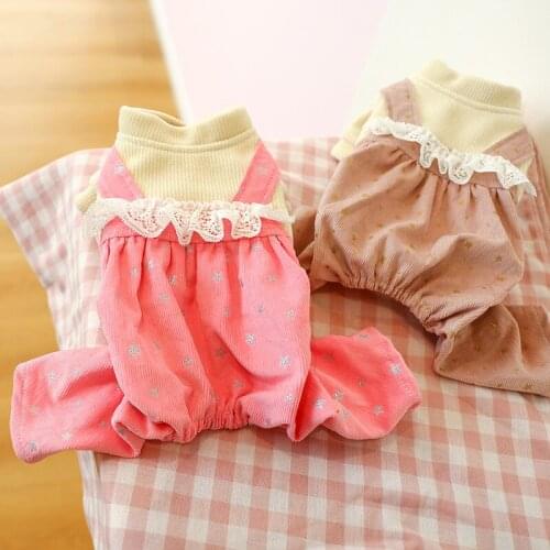 Dog Costume New Products for Autumn and Winter Warmth and Cold Lace Edge Pet Bib Star Bloomers Dog Four-legged Dog Clothes