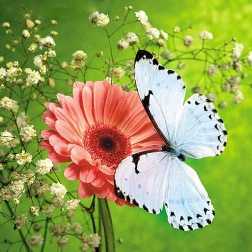Full square / round diamond painting butterfly flower diy 5d diamond art landscape rhinestone mosaic canvas cross embroidery
