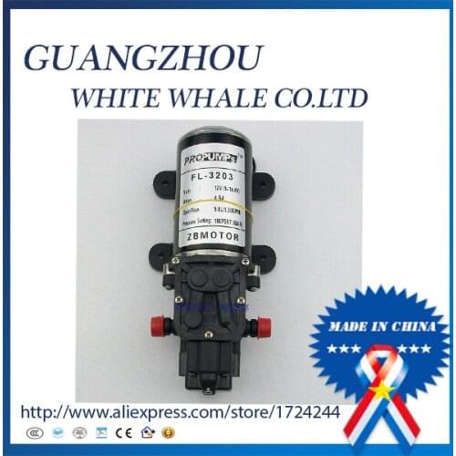 5.0L(1.30GPM) Priming pump 12V electric car washing high pressure water pump