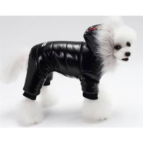Brother Cat Dog Jackets For Dogs