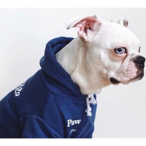 Letter Printed Bully Summer Hoodies Poodle Sweater for Chihuahua Pug Costume Dropshipping PC1247