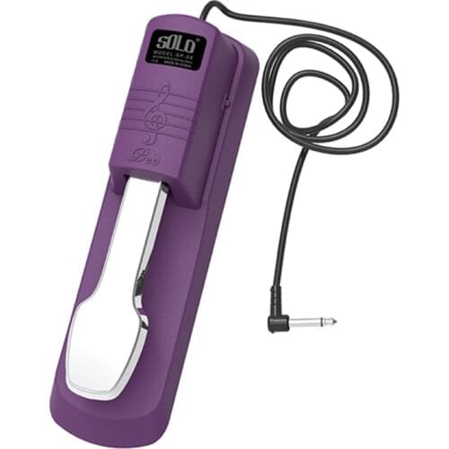 Sustain Pedal Universal for Electronic keyboards Roland Korg Behringer Moog Piano Midi