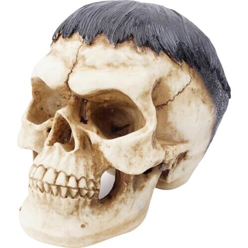 Resin Human Skull Model Halloween Props Home Decorations, Fidelity Medical Model Skull Skeleton Head for Art Medica Teaching