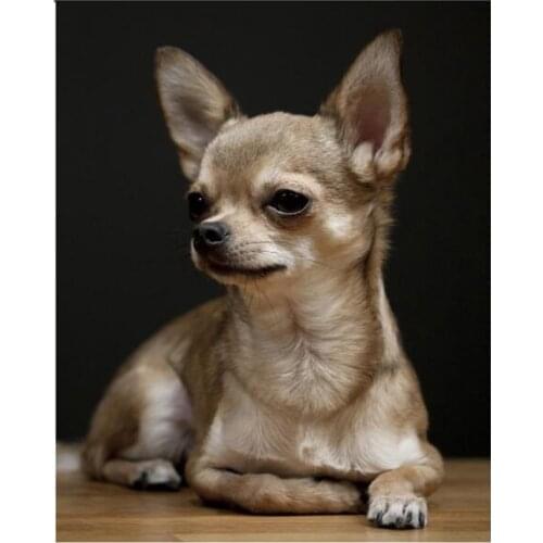 New Arrivals 5D DIY Full Round/Square Diamond Painting Dog Cute Pet Cross Stitch 3D Embroidery Rhinestone Mosaic Home Decor Y312