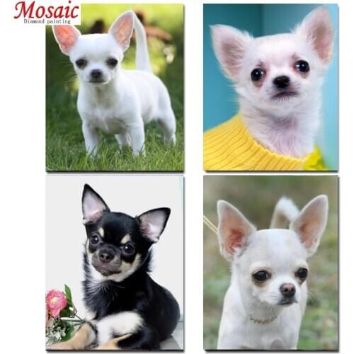 Chihuahua dog Diamond Painting Full Square diamond Embroidery Handcraft mosaic Kit animals pet puppy image Christmas home decor