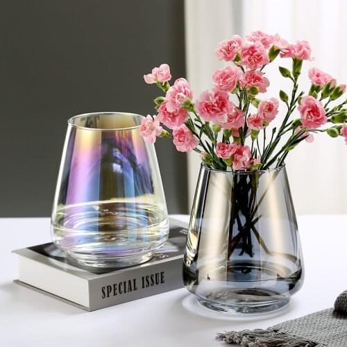 Creative Glass Vases New Nordic Style Flowers Hydroponic Floral Thicken Transparent Case Home Bedroom Living Room Decoration