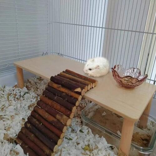 Hamster Toys Set Wooden Cage Swing Teething Toys Climb Ladder Bridge Exercise Playing Teeth Care Toy For Rabbits Gerbils