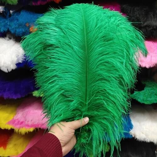 10pcs Beautiful Grass Green 30-35cm/12-14 inch Natural Ostrich Feather Wedding Party Christmas Home Craft Accessories Decoration