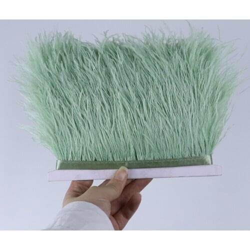 Vanilla Green Ostrich Feathers Trim Ribbon For Wedding Dress 8-10Cm Decoration Clothing Sewing Accessory Plume Feather Wholesale