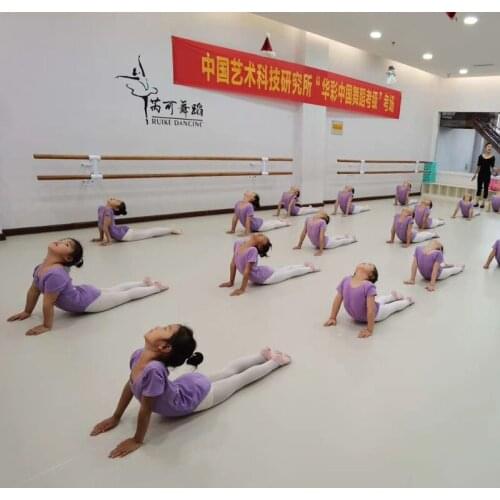 Beable Professional Dance Mat PVC Flooring For Ballet Studio Yoga Room