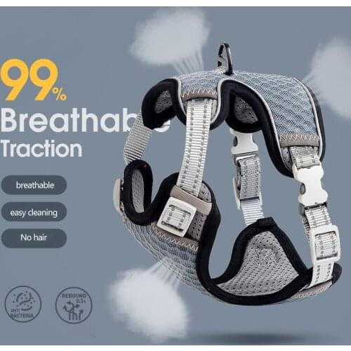 99% Breathable Mesh Cat Harnesses for Cats Harness Fashion Pet harness and Leash Set Katten Kitty Mascotas Accesorios Para Gatos