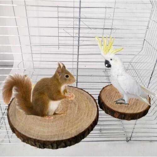LHXMAS Squirrel Totoro Parrot Logs Pier Springboard Diving Platform Small Pet Platform Board Parrot Toy Supplies