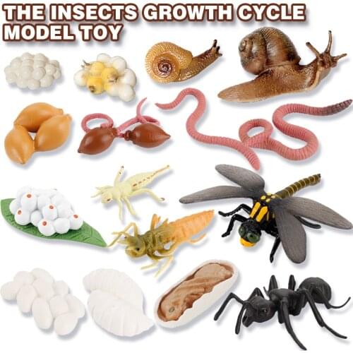 Realistic insects Animals Model Snail,Earthworm,Dragonfly,Ant Life Cycle Educational Fidget Toy Scene Design Decoration Gifts